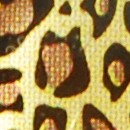 Gepard